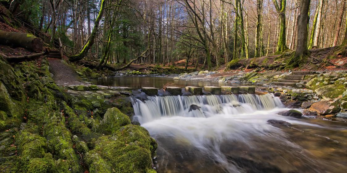 Tollymore Forest Park